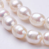 Natural Cultured Freshwater Pearl Beads Strands, Rice, Linen, 6~7x5~6mm, Hole: 0.5mm, about 47pcs/strand, 13.39 inch