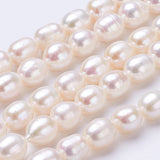 Natural Cultured Freshwater Pearl Beads Strands, Rice, Linen, 6~7x5~6mm, Hole: 0.5mm, about 47pcs/strand, 13.39 inch