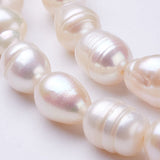 Natural Cultured Freshwater Pearl Beads Strands, Rice, Seashell Color, 9~11x8~9mm, Hole: 0.5mm, about 35~36pcs/strand, 14 inch