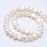 Natural Cultured Freshwater Pearl Beads Strands, Nuggets, Seashell Color, 10x9~10x7~9mm, Hole: 0.5mm, about 36pcs/strand, 13.5 inch