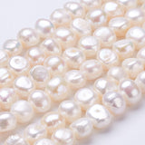 Natural Cultured Freshwater Pearl Beads Strands, Nuggets, Seashell Color, 10x9~10x7~9mm, Hole: 0.5mm, about 36pcs/strand, 13.5 inch