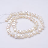 Natural Cultured Freshwater Pearl Beads Strands, Nuggets, Seashell Color, 7~8x6~7x5~6mm, Hole: 0.5mm, about 55~56pcs/strand, 13.39 inch(34cm)