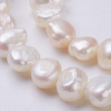 Natural Cultured Freshwater Pearl Beads Strands, Nuggets, Seashell Color, 7~8x6~7x5~6mm, Hole: 0.5mm, about 55~56pcs/strand, 13.39 inch(34cm)