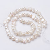 Natural Cultured Freshwater Pearl Beads Strands, Nuggets, Seashell Color, 6~9x5~6x3~4mm, Hole: 0.5mm, about 62~63pcs/strand, 13.4 inch