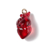 Transparent Resin Pendants, Anatomical Heart Charms, with Golden Plated Iron Loops, Dark Red, 20.5~21.5x11.5x11mm, Hole: 2mm, 20pc/Set