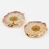 Resin Pendants, with Dried Flower and Edge Light Gold Plated Iron Loop, Flat Round, Clear, 33.5~35x31~32x4.5~5.5mm, Hole: 1.6mm, 20pc/Set