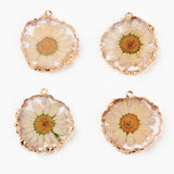 Resin Pendants, with Dried Flower and Edge Light Gold Plated Iron Loop, Flat Round, Clear, 33.5~35x31~32x4.5~5.5mm, Hole: 1.6mm, 20pc/Set