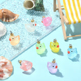 40Pcs 8 Colors Transparent Resin Pendants, Duck Charms with Crown, with Stainless Steel Color Plated 304 Stainless Steel Loops, Mixed Color, 23x17x13mm, Hole: 2mm, 5pcs/color