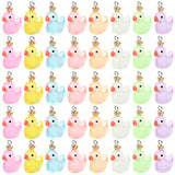 40Pcs 8 Colors Transparent Resin Pendants, Duck Charms with Crown, with Stainless Steel Color Plated 304 Stainless Steel Loops, Mixed Color, 23x17x13mm, Hole: 2mm, 5pcs/color