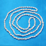 Natural Trumpet Shell Beads Strands, White, 6~13x4~8.5mm, Hole: 0.5~1mm, about 115~160pcs/strand, 37.01~50 inch, 10Strand/Set