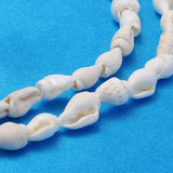 Natural Trumpet Shell Beads Strands, White, 6~13x4~8.5mm, Hole: 0.5~1mm, about 115~160pcs/strand, 37.01~50 inch, 10Strand/Set