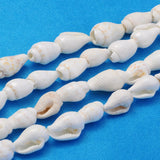 Natural Trumpet Shell Beads Strands, White, 6~13x4~8.5mm, Hole: 0.5~1mm, about 115~160pcs/strand, 37.01~50 inch, 10Strand/Set