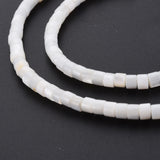 Natural Freshwater Shell Beads Strands, Column, Seashell Color, 4x3mm, Hole: 0.8mm, about 126~132pcs/strand, 14.57 inch~15.75 inch(37~39.2cm), 5Strand/Set