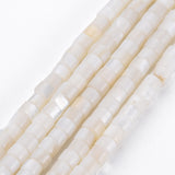 Natural Freshwater Shell Beads Strands, Column, Seashell Color, 4x3mm, Hole: 0.8mm, about 126~132pcs/strand, 14.57 inch~15.75 inch(37~39.2cm), 5Strand/Set