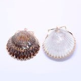 Natural Shell Big Pendant, with Plated Golden Brass Findings, 44~68x40~54x4~5mm, Hole: 2mm, 10pc/Set