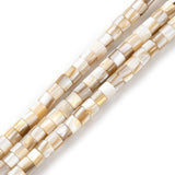 Natural Freshwater Shell Beads Strands, Column, Seashell Color, 3x4mm, Hole: 0.8mm, about 124~125pcs/strand, 15.28~15.47''(38.8~39.3cm), 5Strand/Set