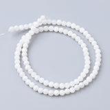 Natural Freshwater Shell Bead Strands, Round, 4mm, Hole: 0.5mm, about 99pcs/strand, 15.7 inch, 5Strand/Set