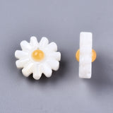 Natural Freshwater Shell Beads, Flower, Seashell Color, 10x4.5mm, Hole: 0.8mm, 10pcs/Set