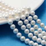 Polished Shell Pearl Round Beads Strands, Nice for Mother's Day Necklace Making, Grade A, White, 6mm, Hole: 0.5mm, about 61pcs/strand, 5Strand/Set