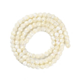 Shell Beads Strands, Faceted, Round, 3.8~4.5mm, Hole: 0.8mm, about 94pcs/strand, 15.86 inch(40.3cm), 3Strand/Set