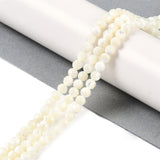 Shell Beads Strands, Faceted, Round, 3.8~4.5mm, Hole: 0.8mm, about 94pcs/strand, 15.86 inch(40.3cm), 3Strand/Set