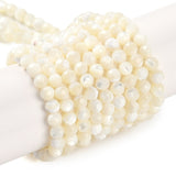 Shell Beads Strands, Faceted, Round, 3.8~4.5mm, Hole: 0.8mm, about 94pcs/strand, 15.86 inch(40.3cm), 3Strand/Set