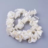 Natural Shell Beads Strands, Nuggets, 2.5~25x15~42x7~30mm, Hole: 1.4mm, about 16.25 inch(41.3cm), 3Strand/Set