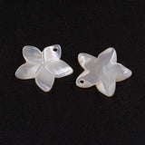 Natural White Shell Mother of Pearl Shell Pendants, Flower, 18.5x19x2mm, Hole: 1.5mm, 10pc/Set