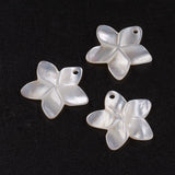 Natural White Shell Mother of Pearl Shell Pendants, Flower, 18.5x19x2mm, Hole: 1.5mm, 10pc/Set