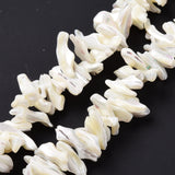 Natural Trochid Shell Beads Strands, Chip, White, 2~11x22~25x5~8mm, Hole: 0.8mm, about 93~148pcs/strand, 14.57~15.94 inch(37~40.5cm), 5Strand/Set