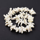 Natural Trochid Shell Beads Strands, Chip, White, 2~11x22~25x5~8mm, Hole: 0.8mm, about 93~148pcs/strand, 14.57~15.94 inch(37~40.5cm), 5Strand/Set