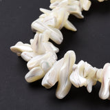 Natural Trochid Shell Beads Strands, Chip, White, 2~11x22~25x5~8mm, Hole: 0.8mm, about 93~148pcs/strand, 14.57~15.94 inch(37~40.5cm), 5Strand/Set