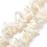 Natural Trochid Shell Beads Strands, Chip, White, 2~11x22~25x5~8mm, Hole: 0.8mm, about 93~148pcs/strand, 14.57~15.94 inch(37~40.5cm), 5Strand/Set