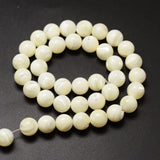 Natural Sea Shell Beads Strands, Round, Creamy White, 10mm, Hole: 1mm, about 40pcs/strand, 15.75 inch, 2Strand/Set