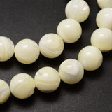 Natural Sea Shell Beads Strands, Round, Creamy White, 10mm, Hole: 1mm, about 40pcs/strand, 15.75 inch, 2Strand/Set