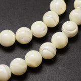 Natural Sea Shell Beads Strands, Round, Creamy White, 8mm, Hole: 0.8mm, about 51pcs/strand, 15.75 inch, 2Strand/Set