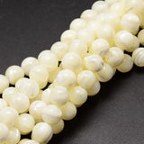 Natural Sea Shell Beads Strands, Round, Creamy White, 8mm, Hole: 0.8mm, about 51pcs/strand, 15.75 inch, 2Strand/Set