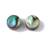 Natural Abalone Shell/Paua Shell Beads, Flat Round, Colorful, 6x3.5mm, Hole: 0.9mm, 20pc/Set