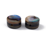 Natural Abalone Shell/Paua Shell Beads, Flat Round, Colorful, 6x3.5mm, Hole: 0.9mm, 20pc/Set