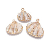 Electroplate Shell Pendants, with Brass Findings, Shell, Golden, 15~25x16~30x8~11mm, Hole: 2mm, 10pc/Set