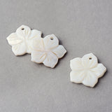 Sea Shell Pendants, Flower, Creamy White, 21~21.5x22~22.5x2~3mm, Hole: 2mm, 50pc/Set