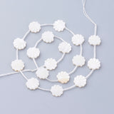 Natural White Shell Beads, Mother of Pearl Shell Beads, Shell Shaped, Seashell Color, 12x12x3mm, Hole: 0.8~1mm, 50pc/Set