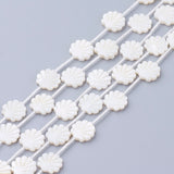 Natural White Shell Beads, Mother of Pearl Shell Beads, Shell Shaped, Seashell Color, 12x12x3mm, Hole: 0.8~1mm, 50pc/Set