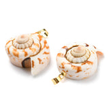 Natural Spiral Shell Red Lip Shell Pendants, Shell Charms with Golden Plated Brass Findings, Seashell Color, 22~29x19~24x11.5~14.5mm, Hole: 4.5x3.5mm, 10pc/Set