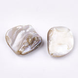 Freshwater Shell Beads, Chip, Light Khaki, 18~22x15~21x7.5~10mm, Hole: 0.8mm