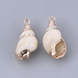 Electroplate Spiral Shell Pendants, with Iron Findings, Golden, Seashell Color, 19~29x9~13x8~10mm, Hole: 1.6mm, 50pc/Set