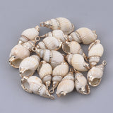 Electroplate Spiral Shell Pendants, with Iron Findings, Golden, Seashell Color, 19~29x9~13x8~10mm, Hole: 1.6mm, 50pc/Set