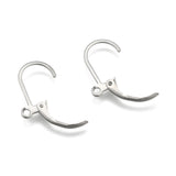 Tarnish Resistant 304 Stainless Steel Leverback Earring Findings, with Loop, Stainless Steel Color, 15x10.5mm, Hole: 1.2mm, 200pc/Set