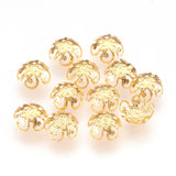 304 Stainless Steel Fancy Bead Caps, Flower, 5-Petal, Golden, 8x3mm, Hole: 0.7mm, 100pc/Set