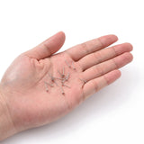 316 Surgical Stainless Steel Flat Round Blank Peg Stud Earring Settings, Stainless Steel Color, Tray: 4mm, 12x4mm, Pin: 0.8mm, 500pcs/Set